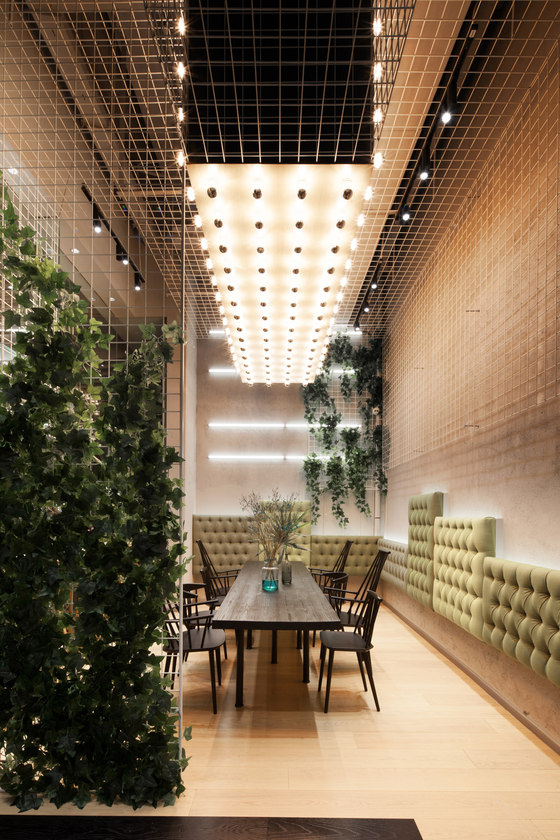 gaga���￧����