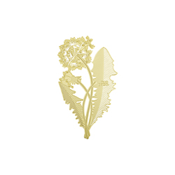 蒲公英书签 汤姆狄克  Tom Dixon家具品牌