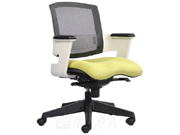 Mesh Staff Chair CG-207W