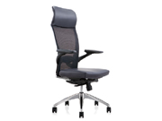 Mesh Executive Chair CG-A801-1B