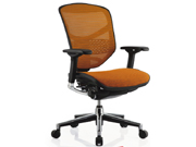 Mesh Medium Back Chair CG-E-LAM
