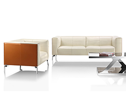 CG-F1003   现代真皮沙发