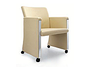 Leather Leisure Sofa CG-XXSF-16