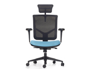 Mesh Executive Chair CG-IVY-F