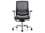 Mesh Medium Back Chair CG-902AL